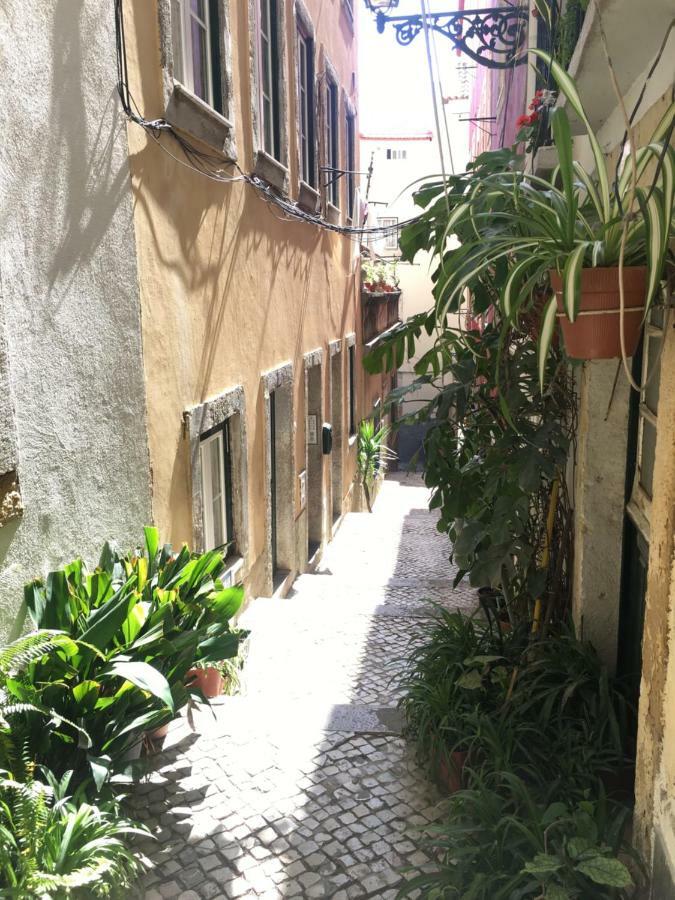 Casa Da Saudade, A Cozy Apartment In Alfama Lisboa Екстериор снимка